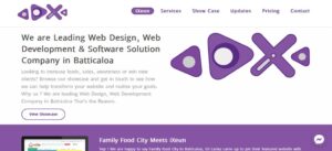 Top 10 Software Companies in Sri Lanka 2023. Full Ranking List